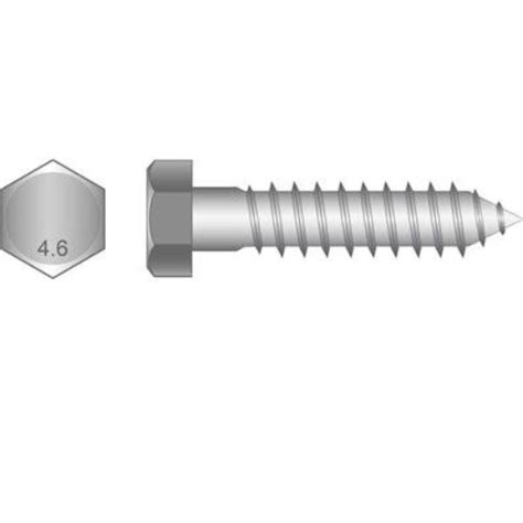 m6 coach screw suppliers